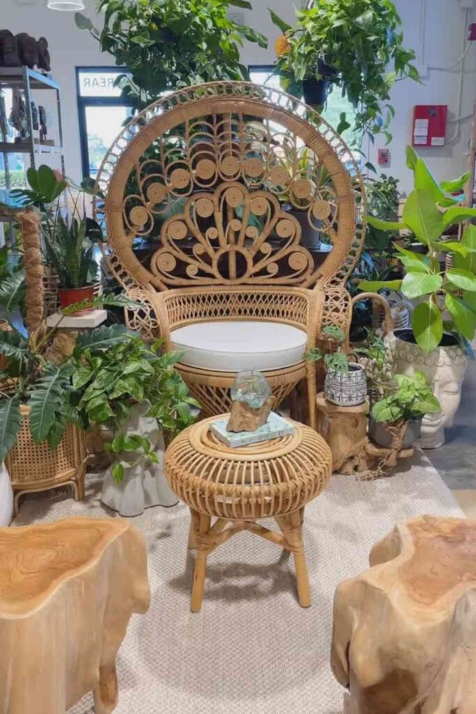 4. Embrace the Power of Rattan & Wicker