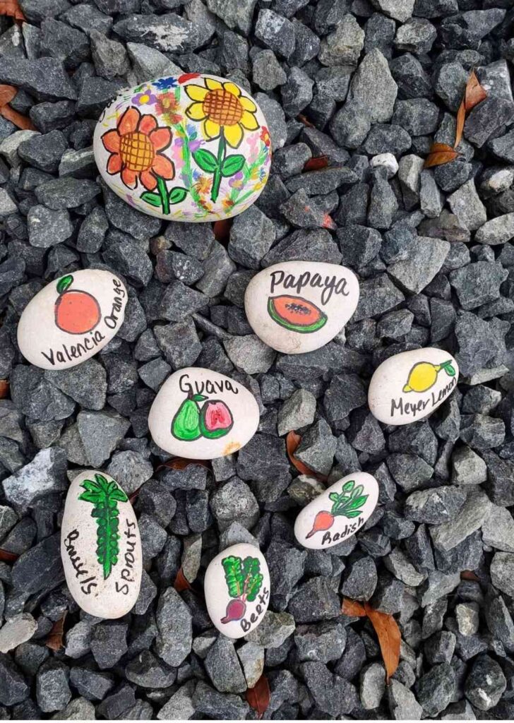 Tutorial 5: Painted Rock Plant Markers (Functional & Cute!)